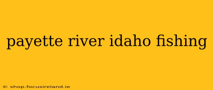 payette river idaho fishing
