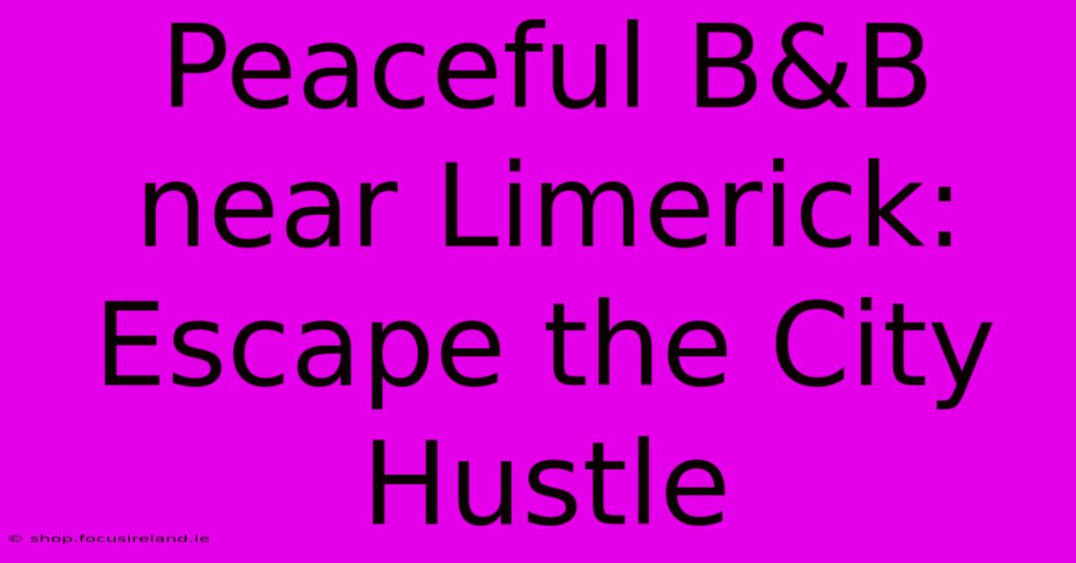 Peaceful B&B Near Limerick: Escape The City Hustle