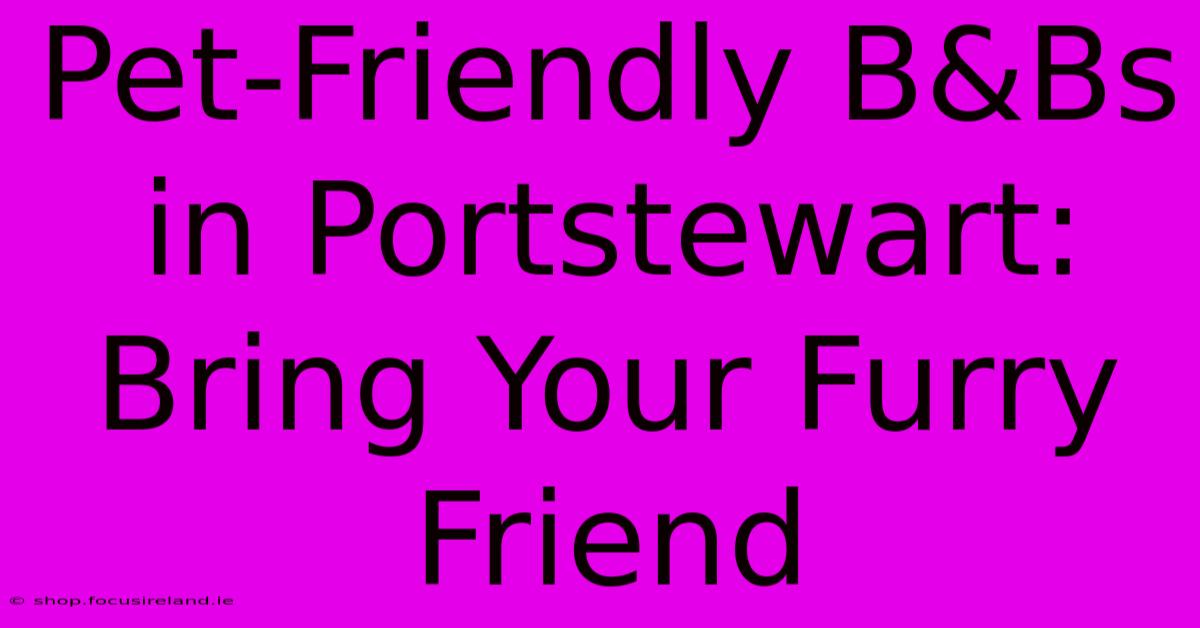 Pet-Friendly B&Bs In Portstewart: Bring Your Furry Friend