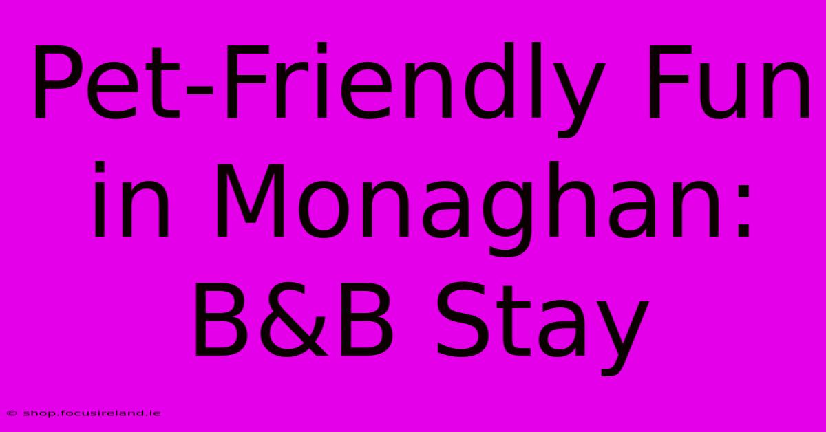 Pet-Friendly Fun In Monaghan: B&B Stay