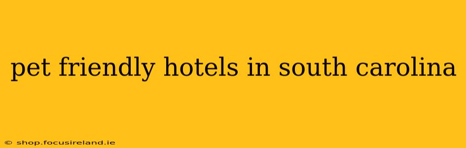 pet friendly hotels in south carolina