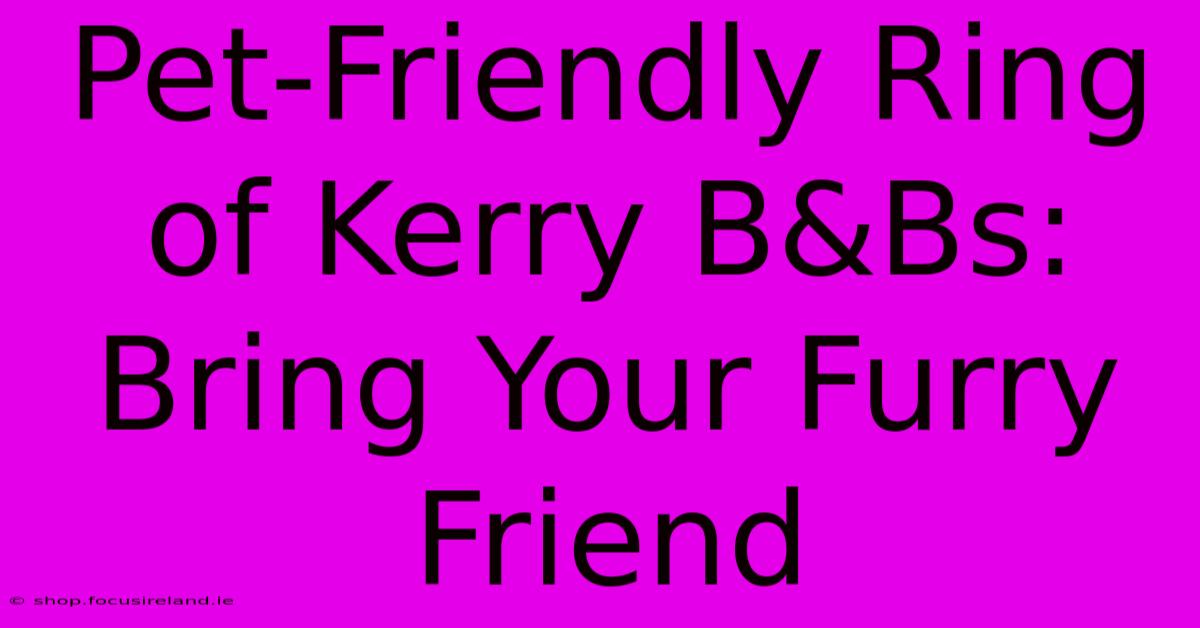 Pet-Friendly Ring Of Kerry B&Bs: Bring Your Furry Friend