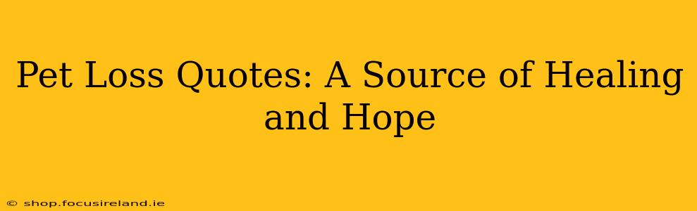 Pet Loss Quotes: A Source of Healing and Hope