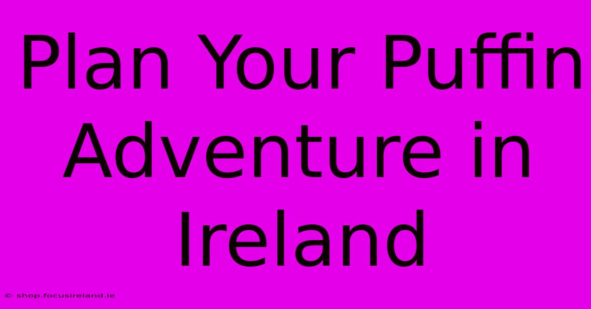 Plan Your Puffin Adventure In Ireland