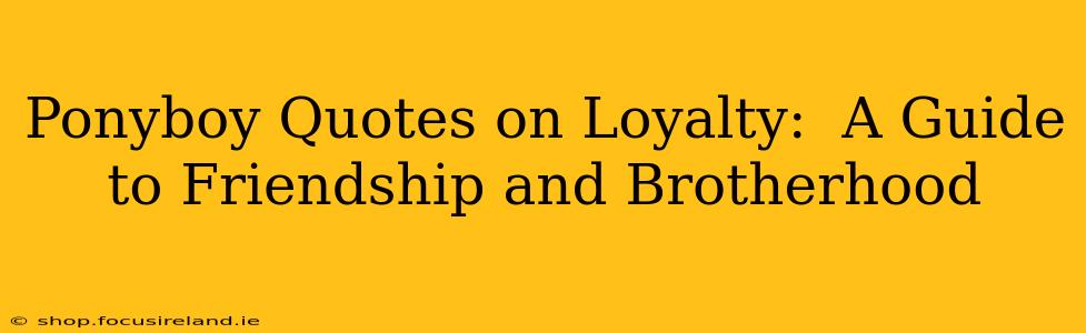 Ponyboy Quotes on Loyalty:  A Guide to Friendship and Brotherhood