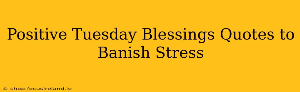 Positive Tuesday Blessings Quotes to Banish Stress