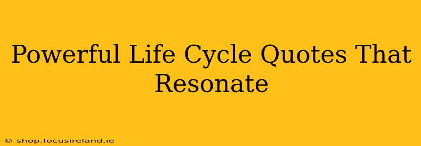Powerful Life Cycle Quotes That Resonate