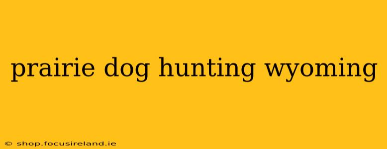 prairie dog hunting wyoming