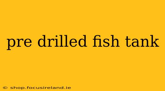 pre drilled fish tank