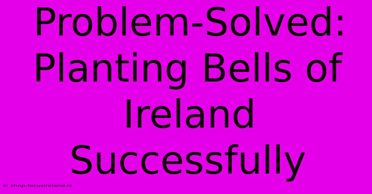 Problem-Solved: Planting Bells Of Ireland Successfully