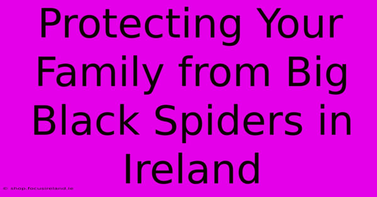 Protecting Your Family From Big Black Spiders In Ireland