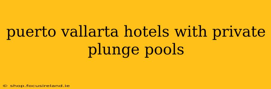 puerto vallarta hotels with private plunge pools