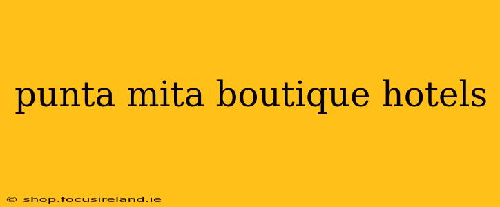 punta mita boutique hotels