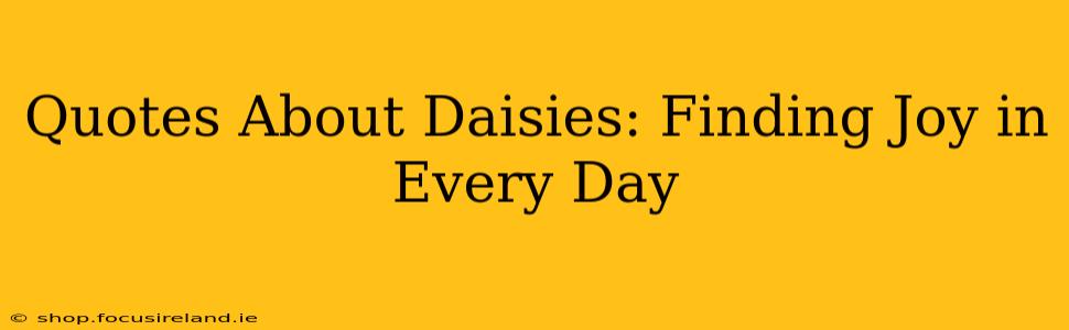 Quotes About Daisies: Finding Joy in Every Day