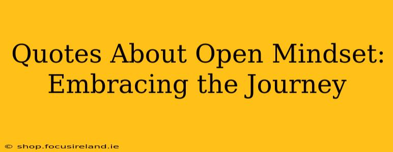 Quotes About Open Mindset:  Embracing the Journey
