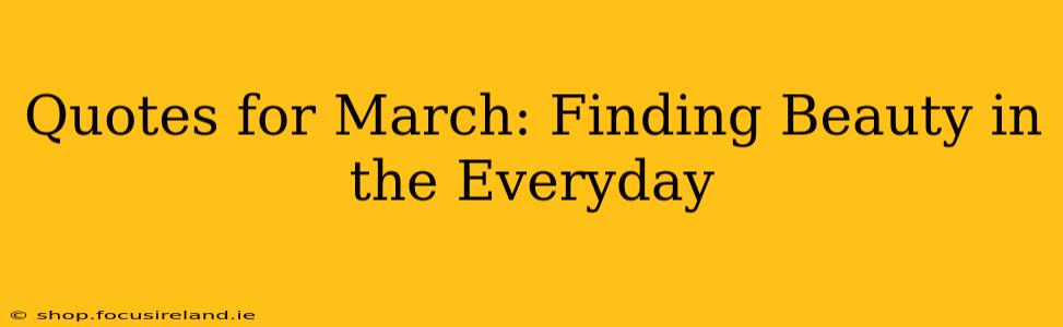 Quotes for March: Finding Beauty in the Everyday
