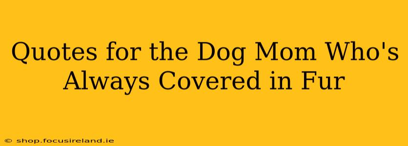 Quotes for the Dog Mom Who's Always Covered in Fur