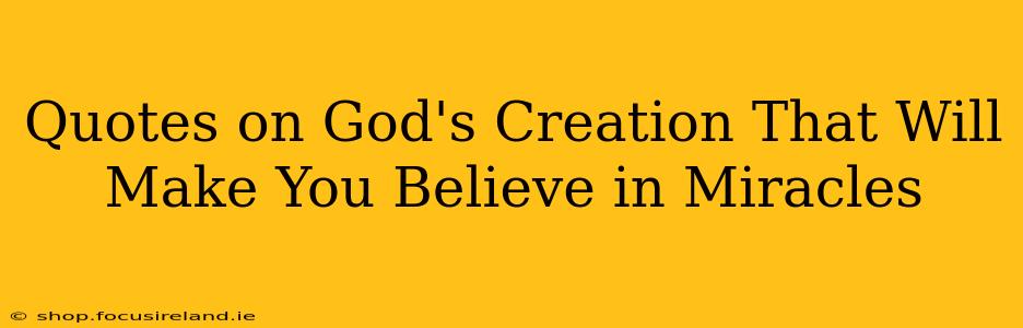 Quotes on God's Creation That Will Make You Believe in Miracles