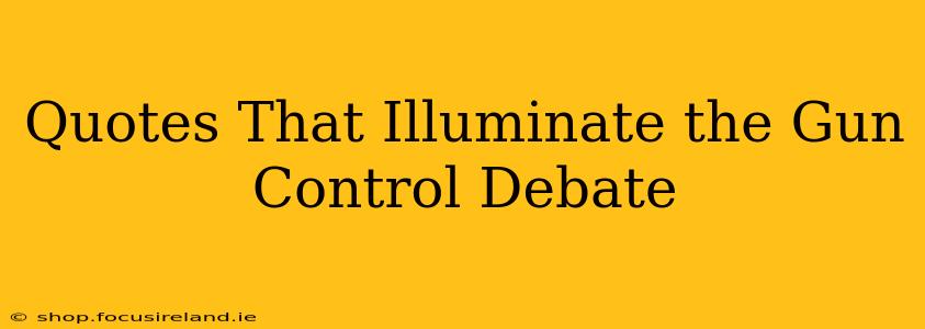 Quotes That Illuminate the Gun Control Debate