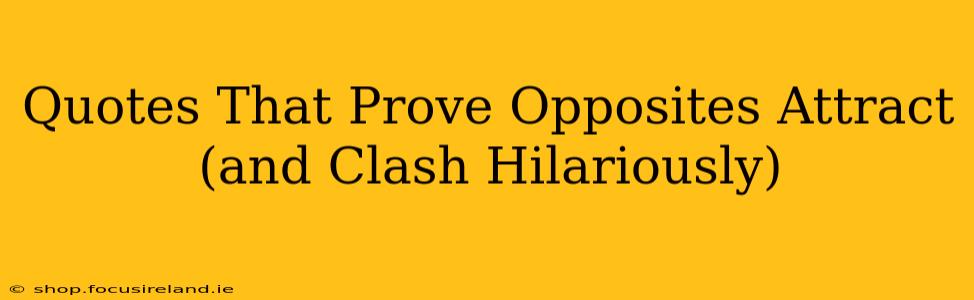Quotes That Prove Opposites Attract (and Clash Hilariously)