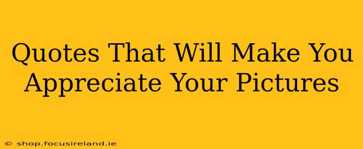 Quotes That Will Make You Appreciate Your Pictures