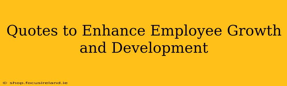 Quotes to Enhance Employee Growth and Development