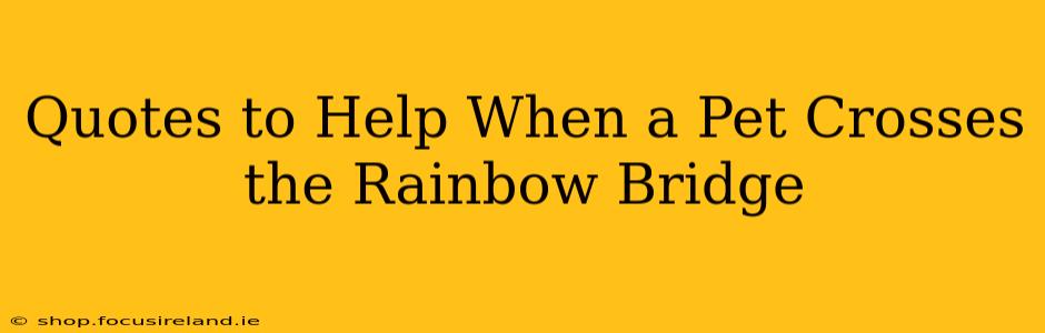 Quotes to Help When a Pet Crosses the Rainbow Bridge
