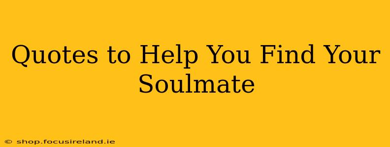 Quotes to Help You Find Your Soulmate