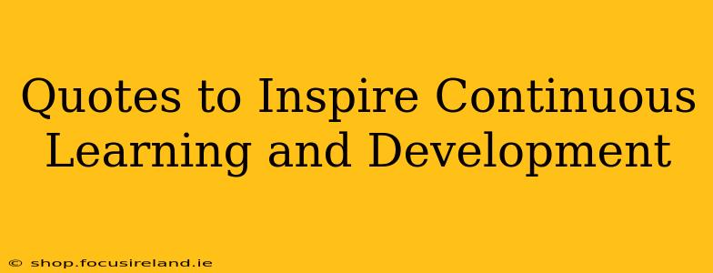 Quotes to Inspire Continuous Learning and Development
