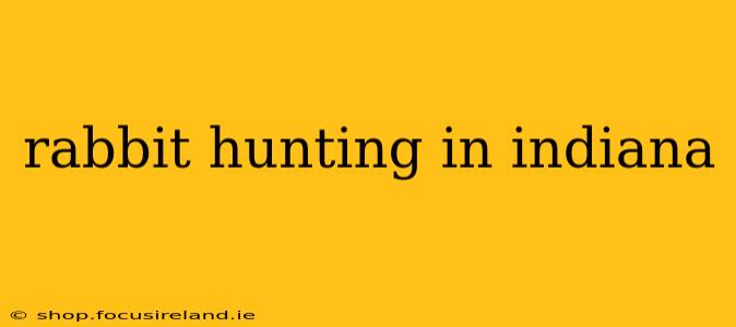 rabbit hunting in indiana