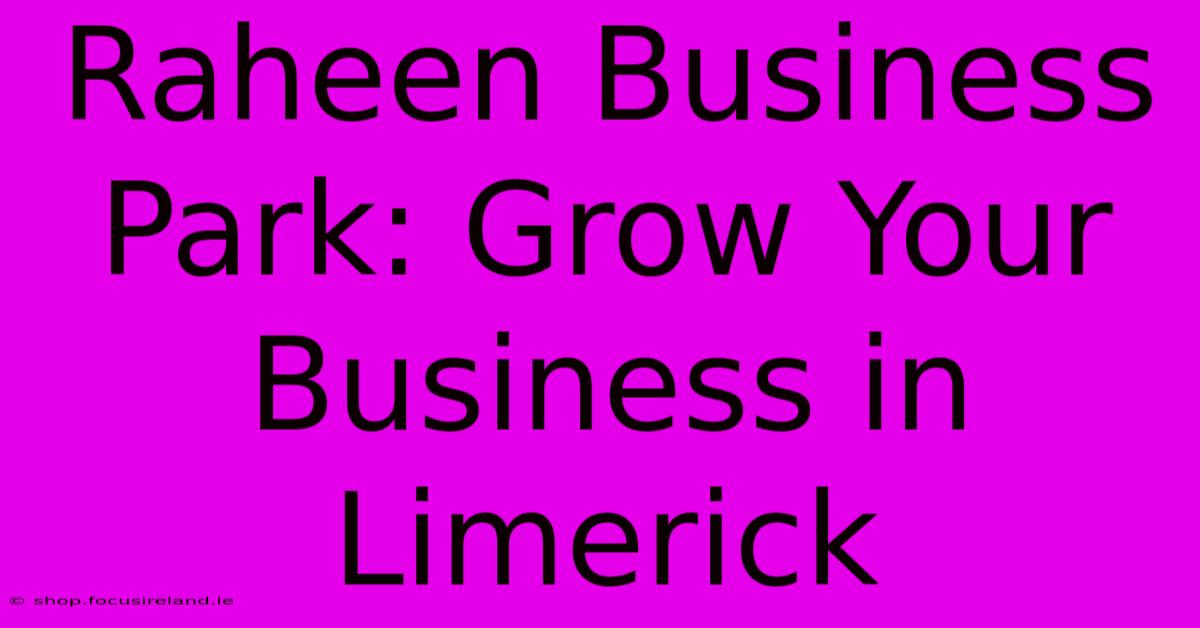 Raheen Business Park: Grow Your Business In Limerick