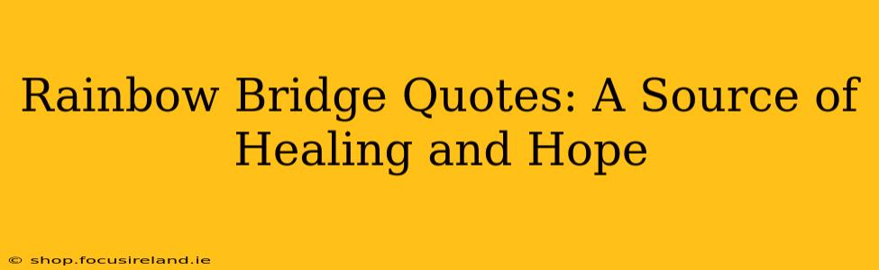 Rainbow Bridge Quotes: A Source of Healing and Hope