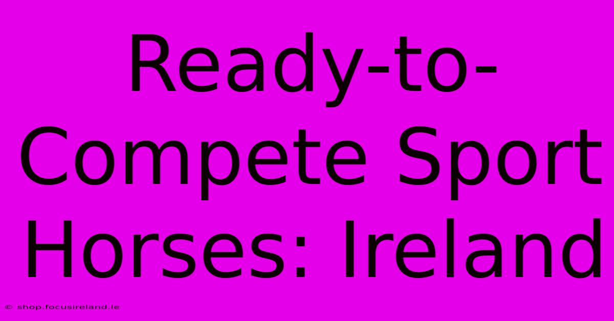 Ready-to-Compete Sport Horses: Ireland