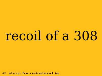 recoil of a 308