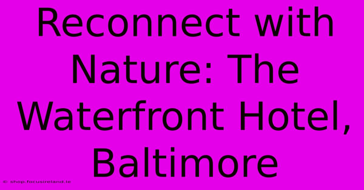 Reconnect With Nature: The Waterfront Hotel, Baltimore