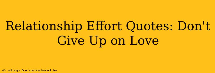 Relationship Effort Quotes: Don't Give Up on Love