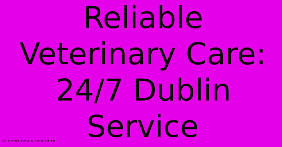 Reliable Veterinary Care: 24/7 Dublin Service