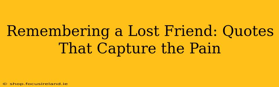 Remembering a Lost Friend: Quotes That Capture the Pain