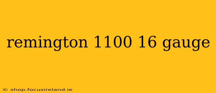 remington 1100 16 gauge