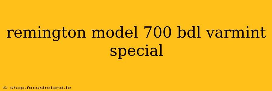 remington model 700 bdl varmint special