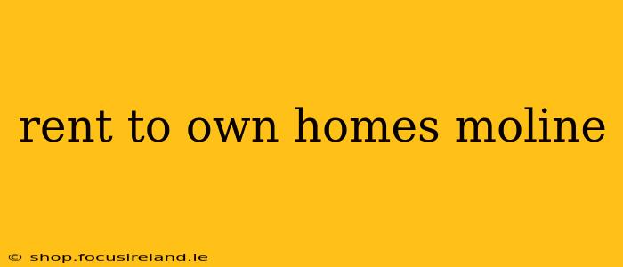 rent to own homes moline