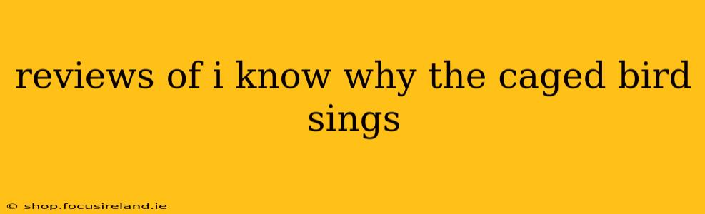 reviews of i know why the caged bird sings