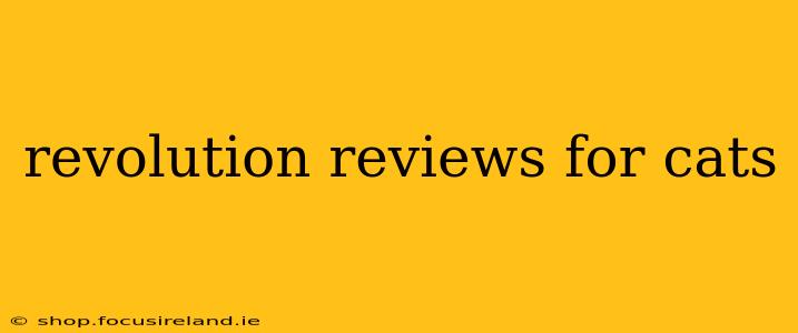 revolution reviews for cats