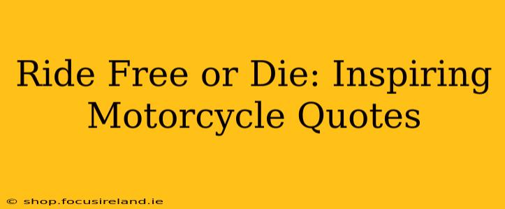 Ride Free or Die: Inspiring Motorcycle Quotes