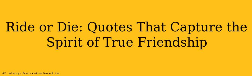 Ride or Die: Quotes That Capture the Spirit of True Friendship