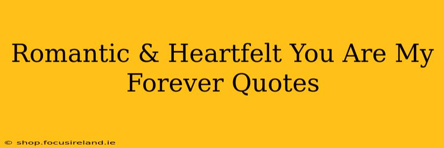Romantic & Heartfelt You Are My Forever Quotes