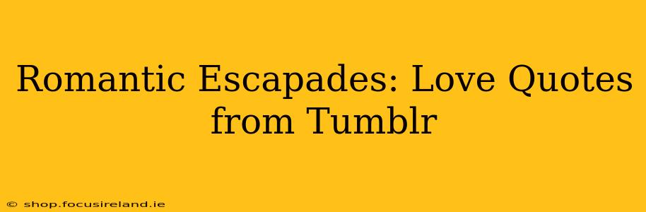 Romantic Escapades: Love Quotes from Tumblr