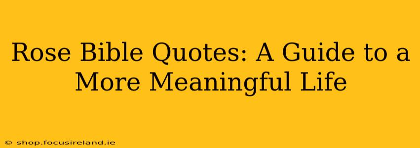 Rose Bible Quotes: A Guide to a More Meaningful Life