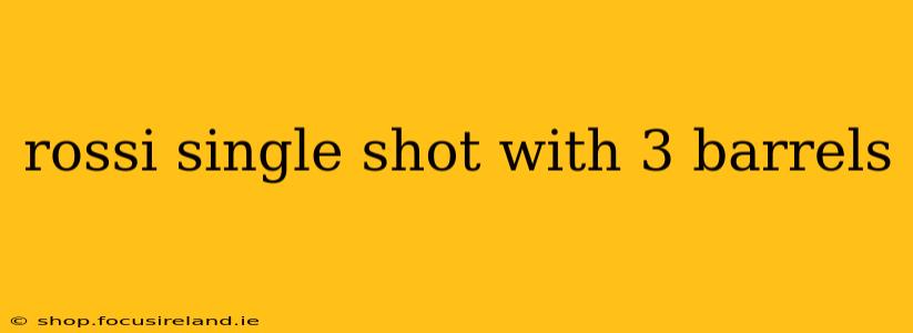 rossi single shot with 3 barrels