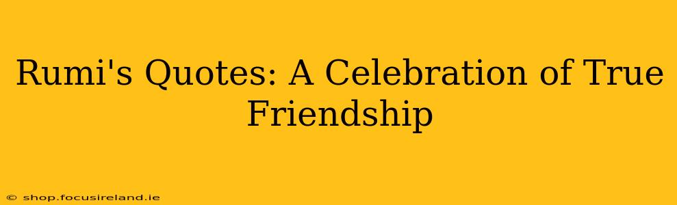 Rumi's Quotes: A Celebration of True Friendship
